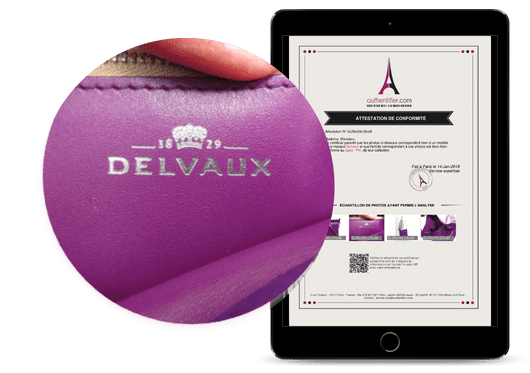 Delvaux Compliance Auditor